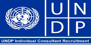 UNDP        